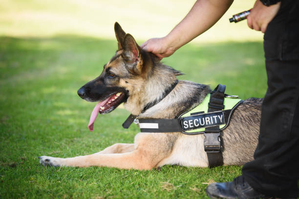 K9 Security Dogs